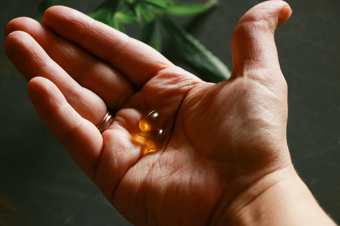How Long Does It Take For Digestive Enzymes To Work: Understanding Enzymes Digestion