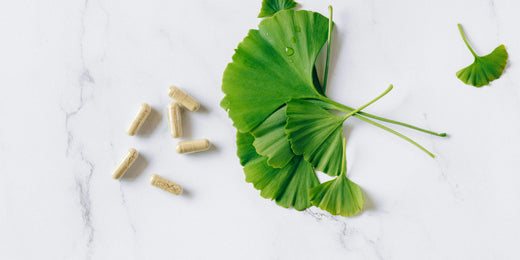 What Are Plant Based Supplements: Complete Guide